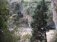 cantara gole23122011 047